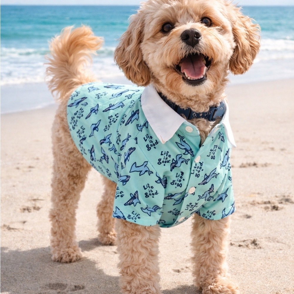 Life Is Good Dog Shark Collard Blue Large Shirt